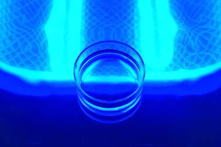 Sunogel's pro-regenerative hydrogel in petri dish under blue light.